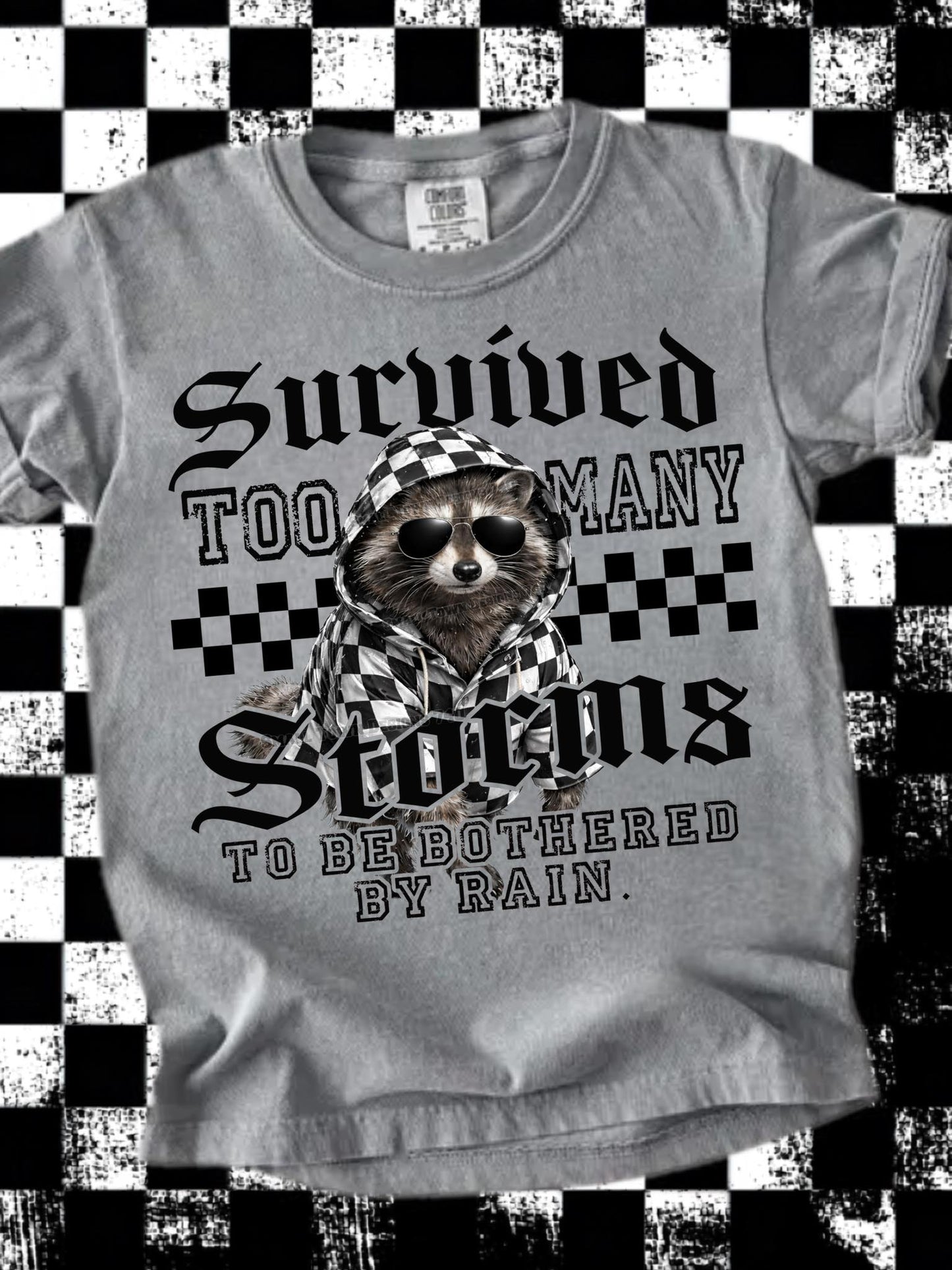 Survived Too Many Storms-Raccoon