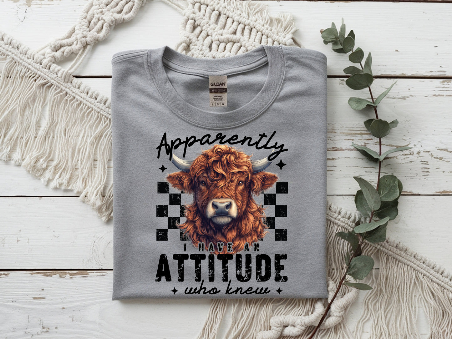 Apparently I Have Attitude