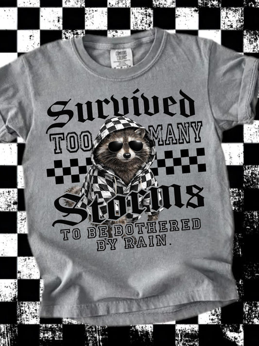 Survived Too Many Storms-Raccoon