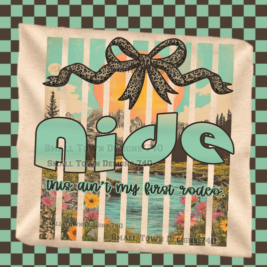 Aide Rodeo