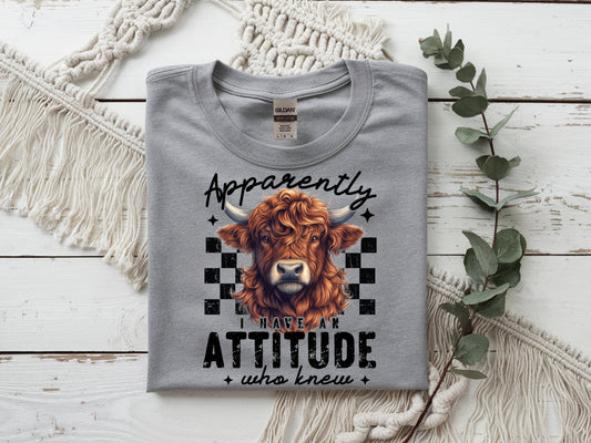 Apparently I Have Attitude