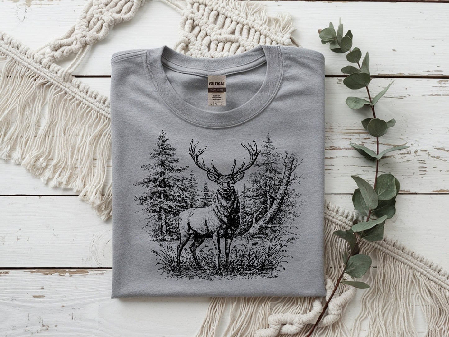 Deer In Woods