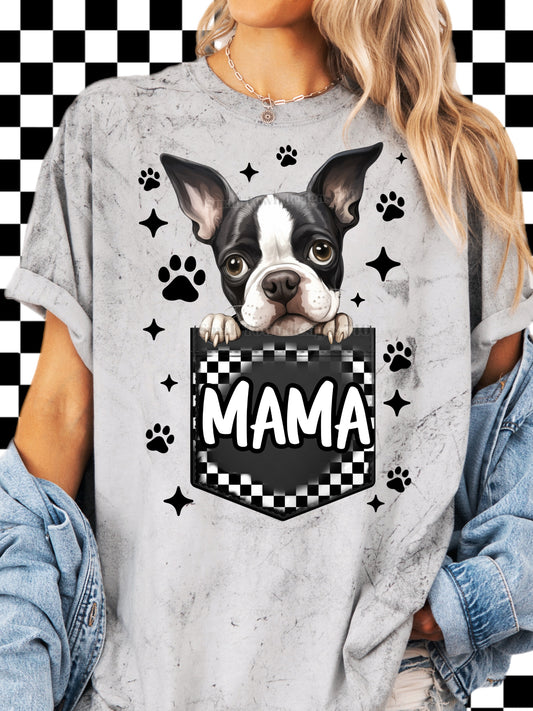 Mama-v2